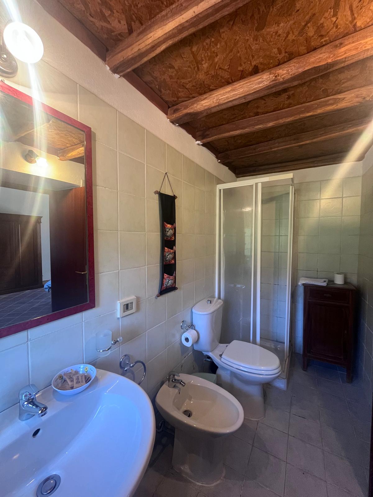 Bagno con soffitto in legno e doccia — Etna 1928 Country House